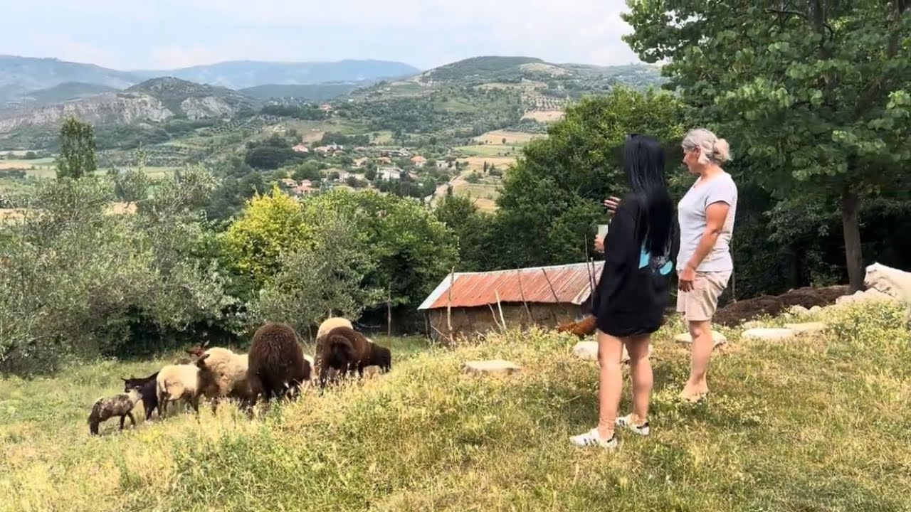 “Gruan e dua sa një grua”. Ndiqeni çiftin e mrekullueshëm nga Mallakastra.