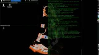 Celebrity Video Transcoding with Linux - 014 Wealth