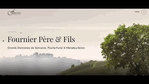 Flying Bird in CSS & HTML Animation