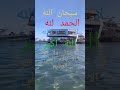 سبحان الله والحمد لله والله أكبر ولا حول ولا قوة إلا بالله الشعراوي