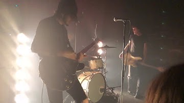 Reignwolf - Alligator