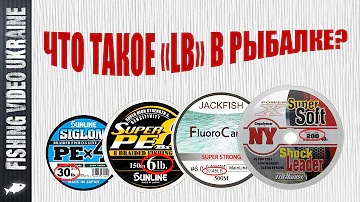 ✅ Что обозначает 
