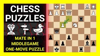 Chess Puzzles to Practice. Themes: Mate in 1, Middlegame, One-move puzzle. Learn Chess screenshot 4