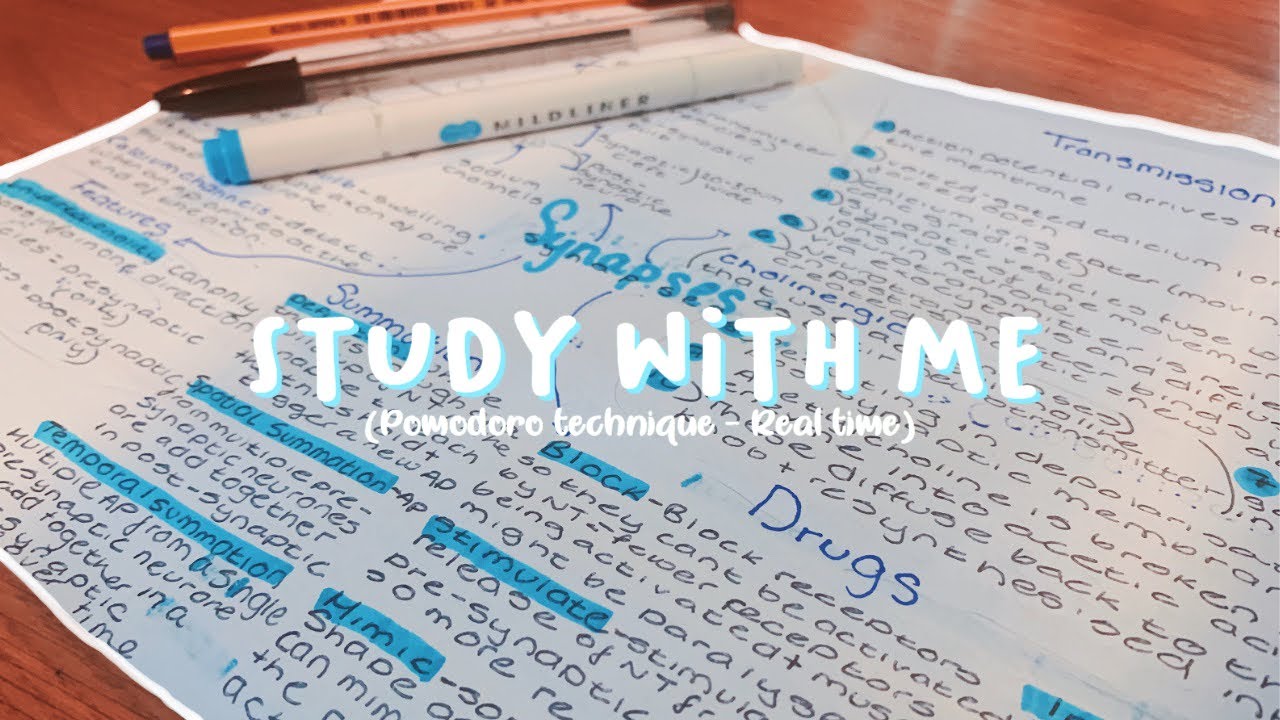 STUDY WITH ME REAL TIME USING POMODORO TECHNIQUE (No Music) - YouTube