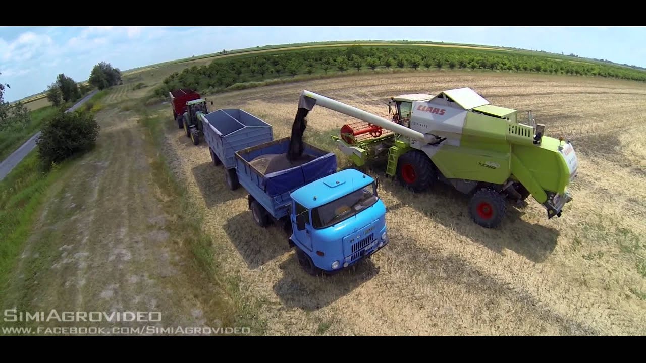 Dekalb kísérleti repce betakarítás: 2 X Claas Tucano 440, 2 X IFA L60, John Deere 6620SE