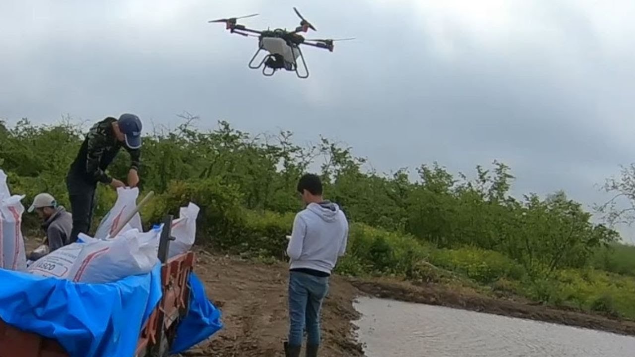 Выращивание риса (риса) с помощью дрона