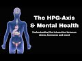 Hypothalamic Pituitary Gonadal Axis | Integrative Behavioral Health