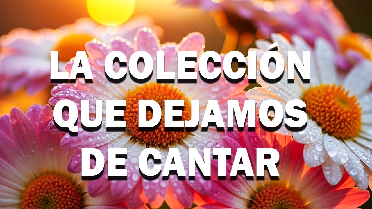 Melodías Del Cielo Para Un Alma Rota 🕊️ La Medicina Que Tu Corazón Necesita Hoy