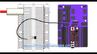 original RoboGuts + 28X2module Lesson 05