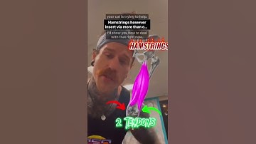 Unlock Your Hamstring Flexibility by Using A Little Anatomy - Posterior Chain Mobility Hack #shorts