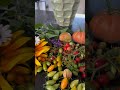 Get ready for the winter,#youtubeshorts #naturelovers #beautiful #fypシ #tomato #youtube #yt
