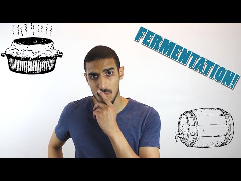 Fermentation  شرح بالعربي