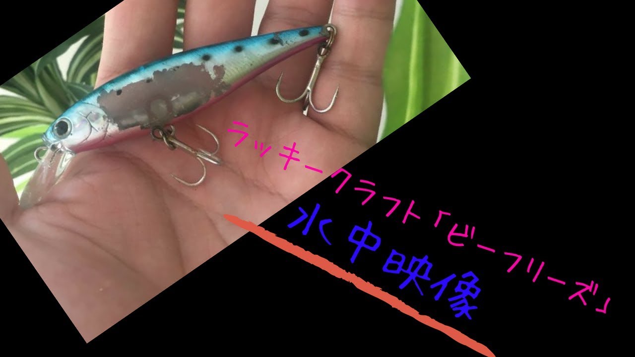 ラッキークラフト ビーフリーズ の使い方 インプレ 定番ミノーでシーバスを狙ってみよう ツリイコ ラッキークラフト ビーフリーズ の使い方 インプレ 定番ミノーでシーバスを狙ってみよう ツリイコ