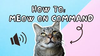 THIS is how we taught our cat to MEOW ON COMMAND!