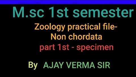 MSC 1st sem zoology practical file