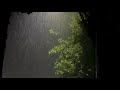 한밤중에 천둥과 함께 내리는 폭우, 깊은수면에 좋은 빗소리 ASMR