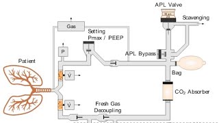 Anaesthesia machine High, intermediate,low pressure system...and types of cylinders  by Dr.Gurudatt