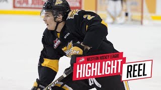 Braden Schneider highlights 2020 NHL draft 