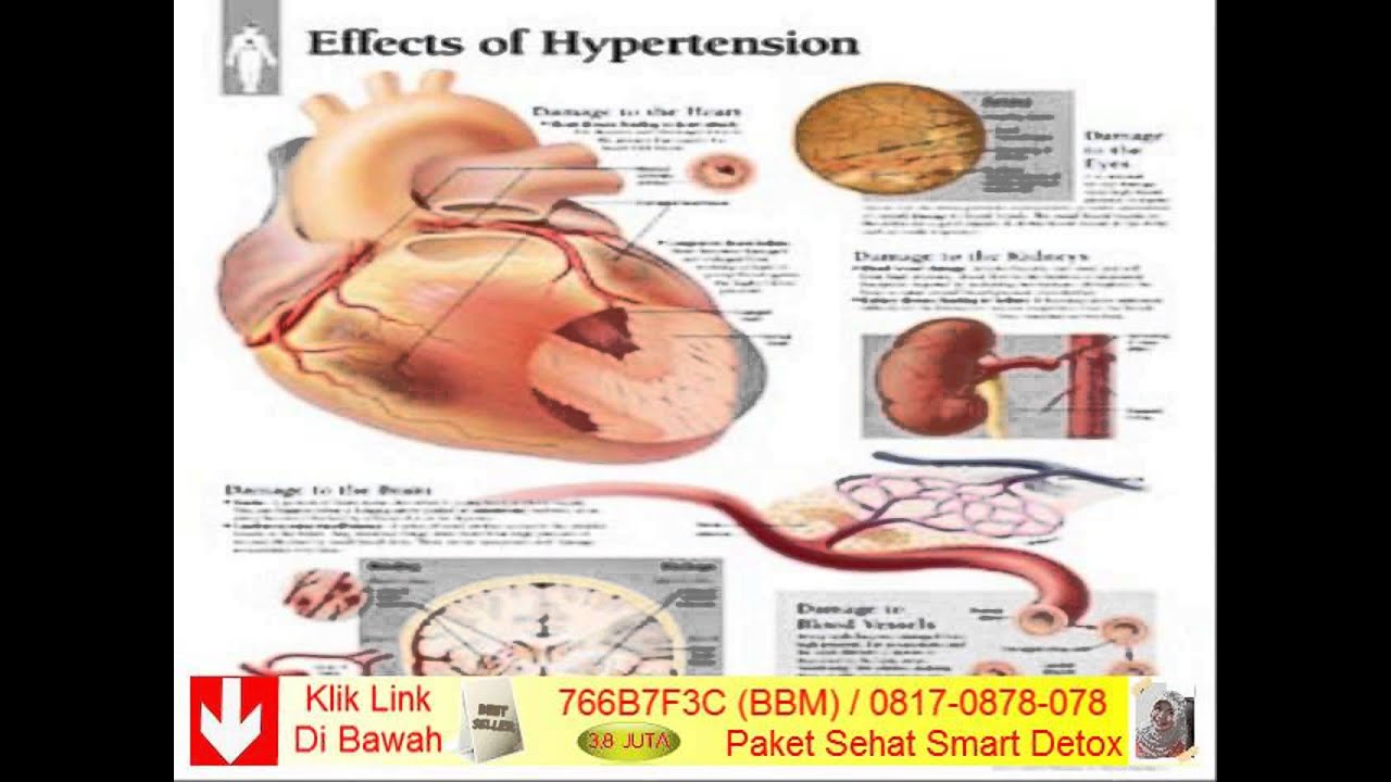 dr mercola disfunzione erettile dr mercola disfunzione erettile