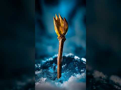 Frozen Flame