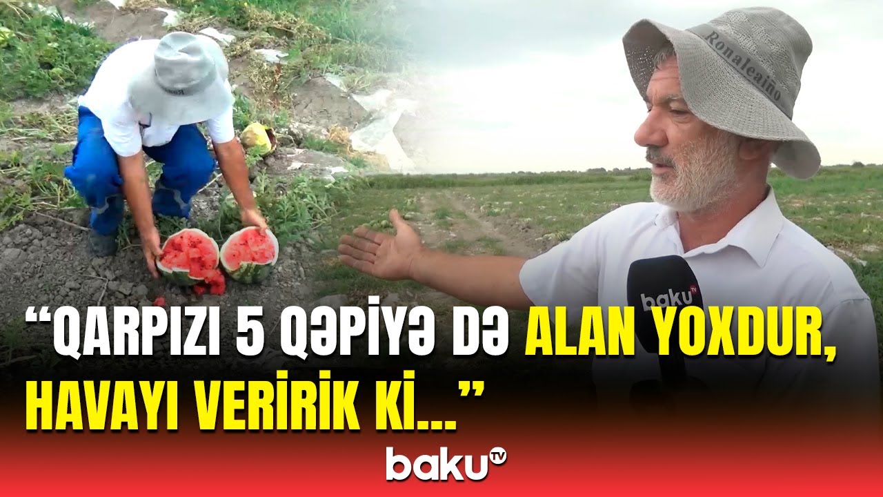 “50-60 min pul gözləyirdim, amma...” | Fermerlərin başına oyun açan problem