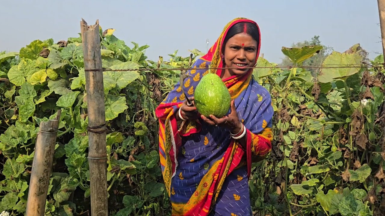 नदी किनारे खेत का कद्दू डालकर बनाई मूंग की दाल।
