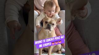 TE QUIERO pero no me chupes #baby #dog #twins #mellizas