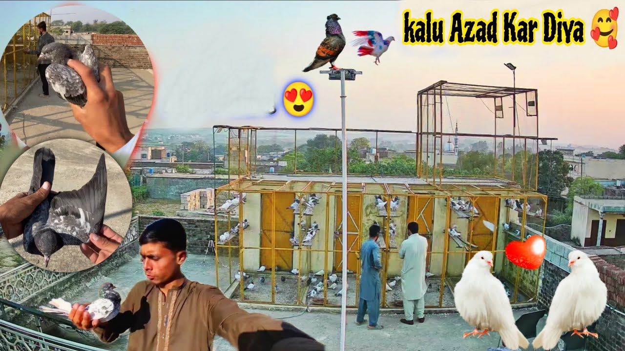 Одноглазый ребенок освободил его.