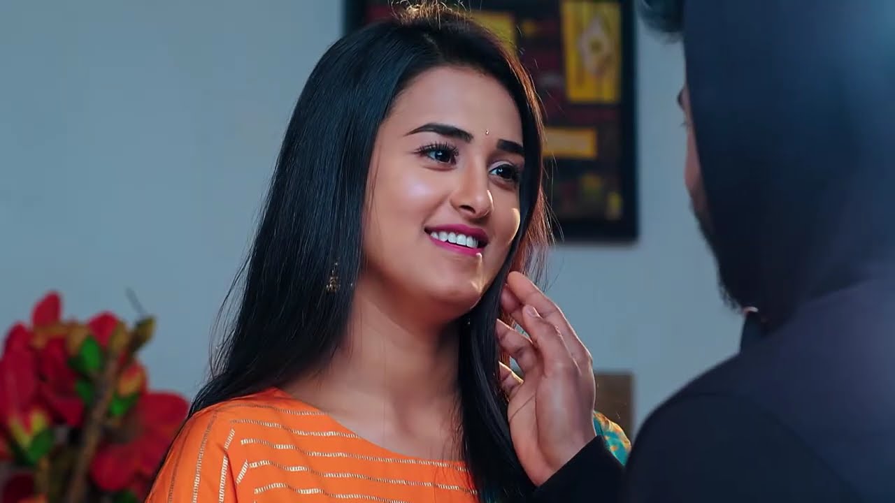 Kalyanam Kamaneeyam - కళ్యాణం కమనీయం - Telugu Serial - EP - 347 - Meghana Lokesh - Zee Telugu