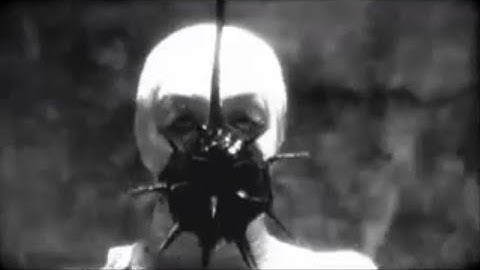 88b. - Despot [MNKZT007]