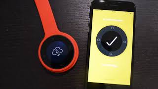 Beeline pairing and firmware update demo screenshot 3