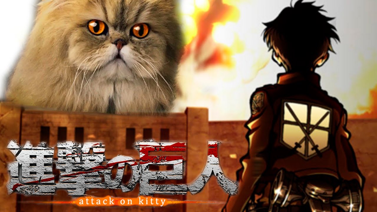 Attack On Titan Final Season Op - My War [Cat Cover] - Youtube