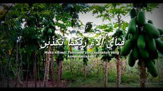 Story' wa 30 Detik Surah arrahman ayat 25-28