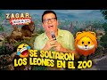 José Luis Zagar - Se soltaron los leones