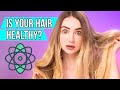 Healthy Hair Isn't What You Think... Hair Science!