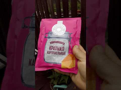 Кругом вода одна