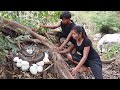 OMG Big snake! See Snake and egg then Cooking eggs for survival food