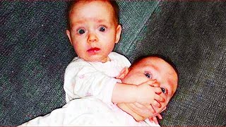 adorable twin babies funny fails and moments