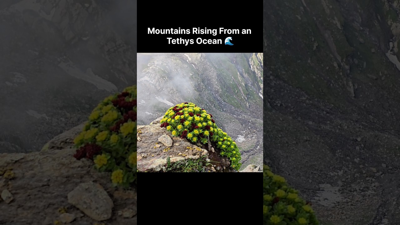 The Roof of the World Was Once Underwater 😳#trending #shorts #viral #facts #feed #mountains #travel