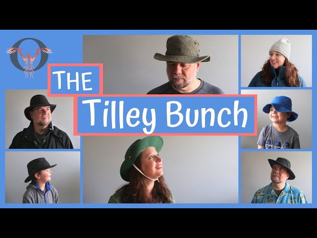 Tilley t3 wanderer review 2025