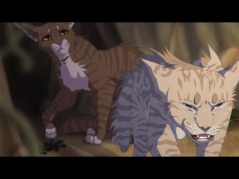 Коты Воители   Извини что сердце колит, болит