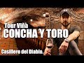Fuí a la Viña Concha y Toro | Conocí el Casillero del Diablo y tomé todos los vinos de Chile
