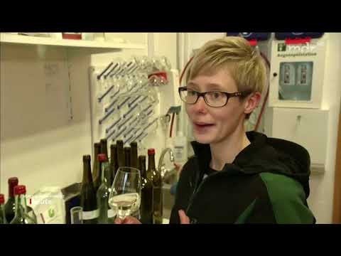 Alkoholfreier Wein Welcher Schmeckt Am Besten Weinwonne