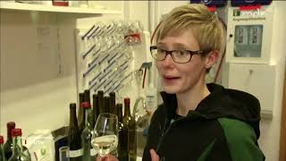 Alkoholfreier Wein Welcher Schmeckt Am Besten Weinwonne