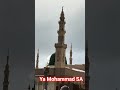 ya Allah Ham sabko madine or karbala ki ziyarat naseeb Kar la #foryou#tiktok#skardu#viral#india#ira