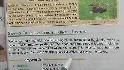 DAV Nahan Class-IV Science Revision L-6, Part-3