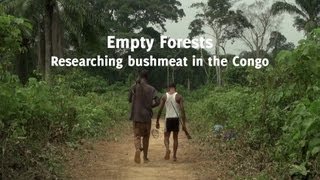 The Congo Basin is under threat - here's why we need to act now - WildAid