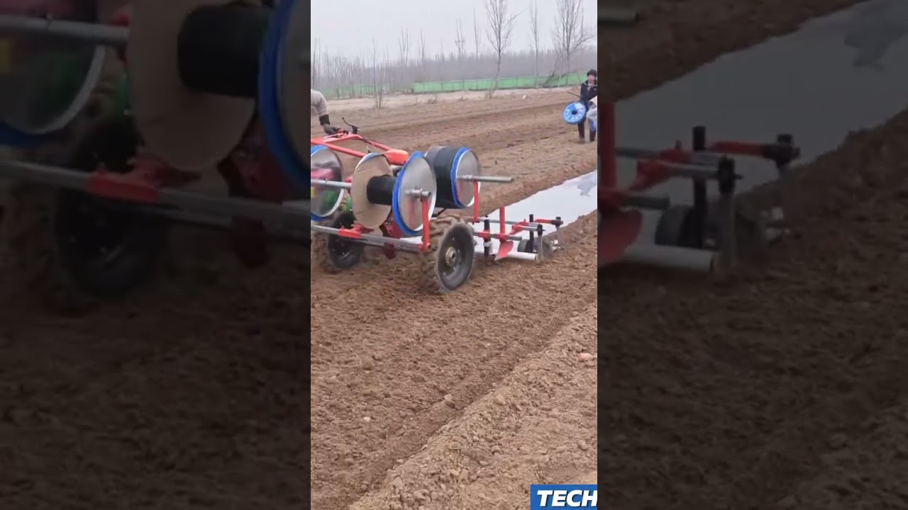 Transforming Farming The Surprising Benefits of Plastic Sheet Covering for Your Crops