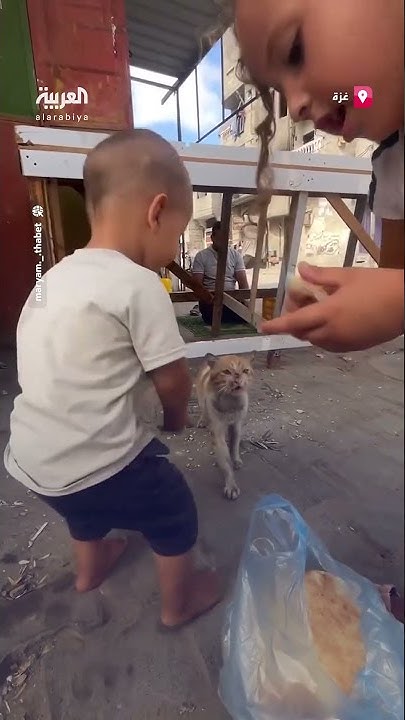       
 - نشر قبل 16 دقيقة