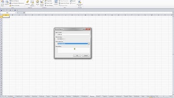 Microsoft Excel 2010 Level Three Video 50 create an Address Macro